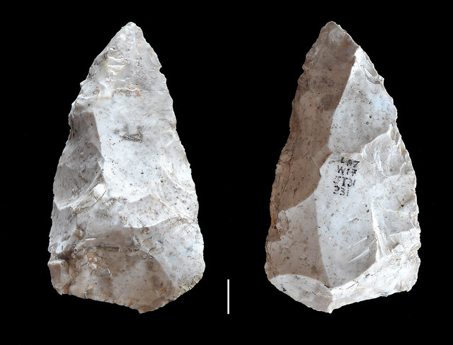 Lower-Middle Palaeolithic