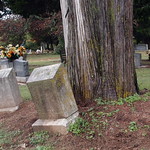 Garden of Memories Cemetery (10) Garden of Memories Cemetery
Vian, Oklahoma
Sequoyah  County
October 12, 2014
