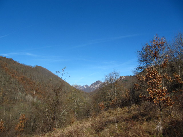 Есен в Гребен планина / Autumn in Greben mountain