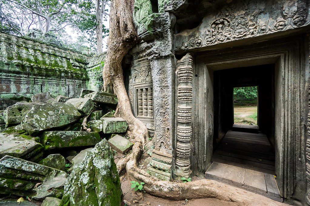 Ruins of Ta Prohm, Cambodia-25 | Of all the ruins in the Ang\u2026 | Flickr
