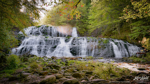 autumn mist leaves sunrise waterfall capebreton