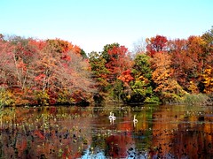 Mill Pond Park -- Autumn (23)