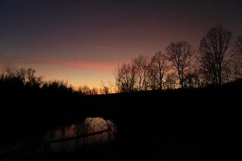 kptrail trees glow dusk sunset kingston