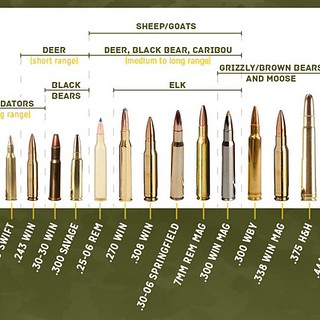 Rifle Bullet Caliber Chart