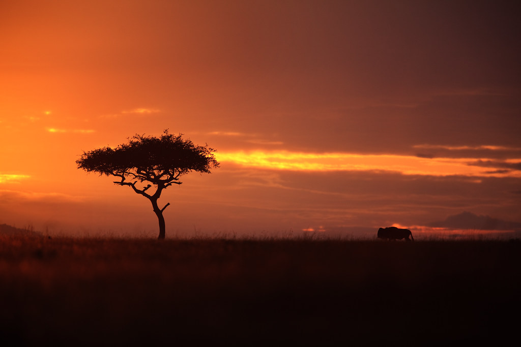 Image: Mara Sunrise