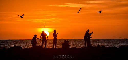 sunset birds orange outdoor landscape rocks fishing couples seashore seaside water wave silhouette