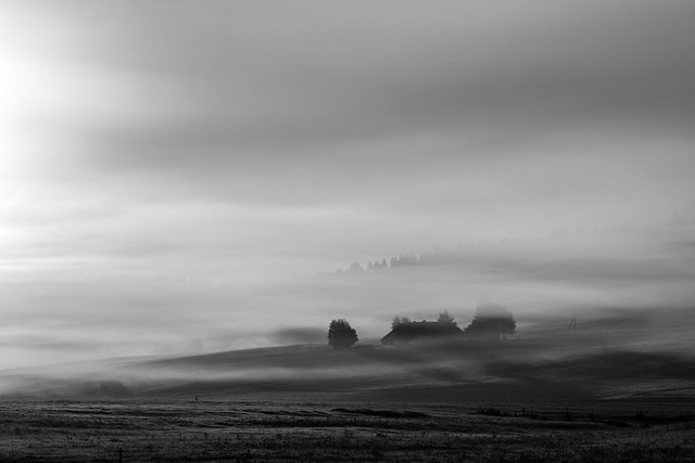 Brouillard sur la vallée