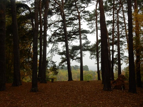 Viewpoint Crowthorne to Blackwater