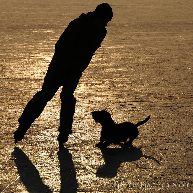 Silhouettes on ice [explored]