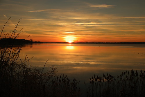 SAM_9158 by Bjerner, DK, sunrise sun fjord horsensfjord horsens denmark morning water coldwater