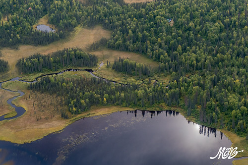Denali Flight, Talkeetna, Alaska