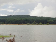 Lago Cecita
