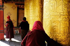 Golden. #Bhutan #happydays #love #travel