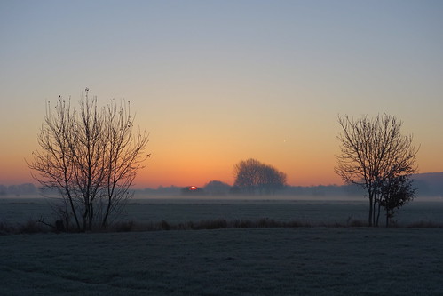 outdoor landscape sky sunrise dawn polder trees winter frost mist field