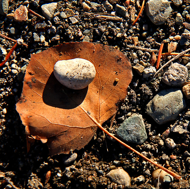 Stone, leaf, stone