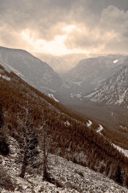 Beartooth Pass - Montana