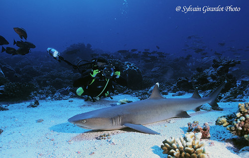 rangiroa-fakarava-tikehau-Sylvain-GIRARDOT-5