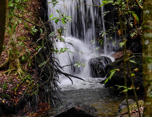 naturaleza méxico valledebravoméxico cascada agua río
