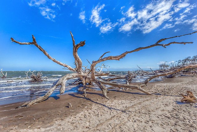 The power of Mother Nature. Amelia Island, Fl