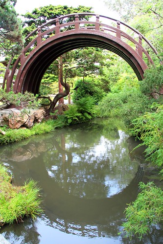 sanfrancisco california bridge trees reflection water circle japanese wooden pond july japaneseteagarden semicircle