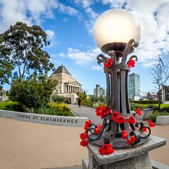 Shrine Of Remembrance Grounds-22