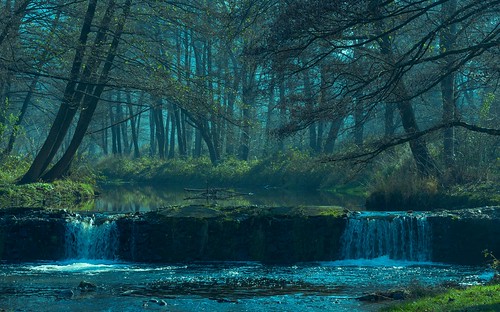 nikond750 nikon d750 tamron 90mm macro forest river pancharevo sofia bulgaria landscape mystic