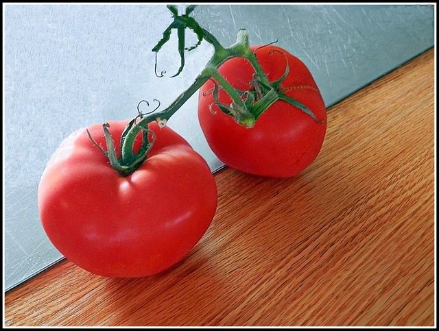 Tomatoes - Photo by STEVEN CHATEAUNEUF - August 26, 2015 - This Photo Was Edited On August 28, 2015 by STEVEN CHATEAUNEUF by Using Paint Shop Pro 6