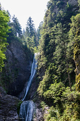 Duruitoarea Waterfall. Cascada Duruitoarea. Ceahlau Mountain