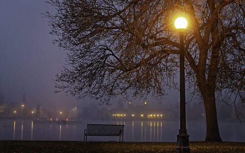 denver park citypark fog foggy sunrise bench light