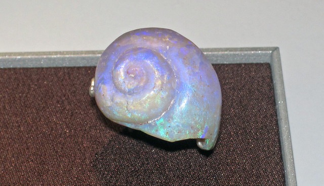Opalized fossil gastropod (Australia)