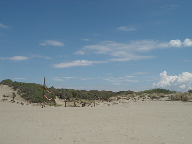 Dunas, Playa Capocotta, Via Litoranea, Italia/Dunes, Capocotta Beach, Lido di Ostia, Italy– www.meEncantaViajar.com