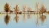 Reflections flooding - Reflejos de la inundación