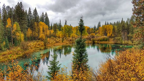 Elk Hunting 2016 by DaveM1994,