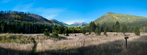 autumn arizona panorama fall forest outdoors fallcolor unitedstates fallfoliage flagstaff sanfranciscopeaks aspen coconinonationalforest forestservice sanfranciscomountain lockettmeadow usfs flagstaffrangerdistrict