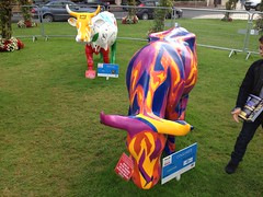 Cow parade Deauville