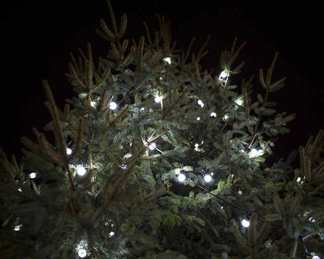 Atherton Christmas tree :)