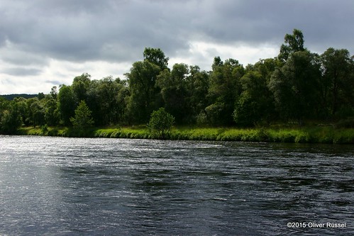 uk trees summer green water river landscape scotland oru 2015 riverspey