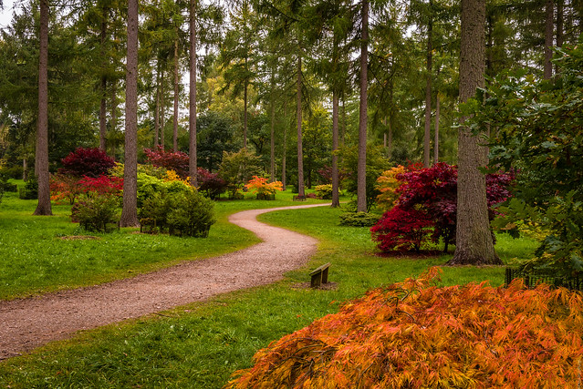 Westonbirt Arboretum (Gloucestershire, UK))