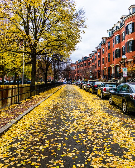 Late Fall in Boston
