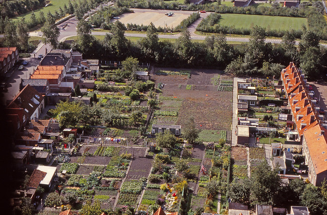1976 - Tuinen tussen de Karnemelksvaart en de Weststraat.