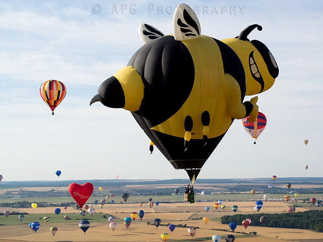 PT-ZMF RVB Balloons Bee
