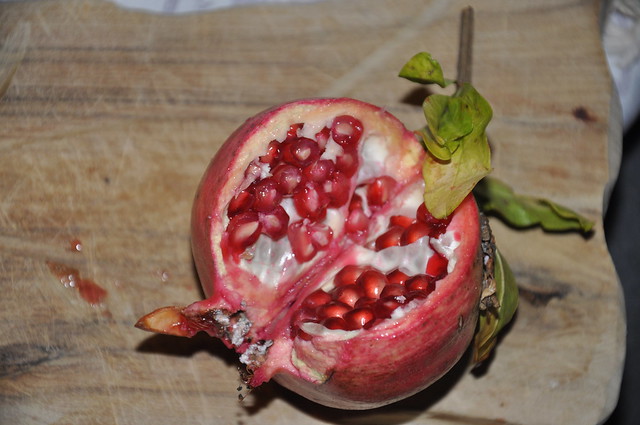 Melagrana - Pomegranate