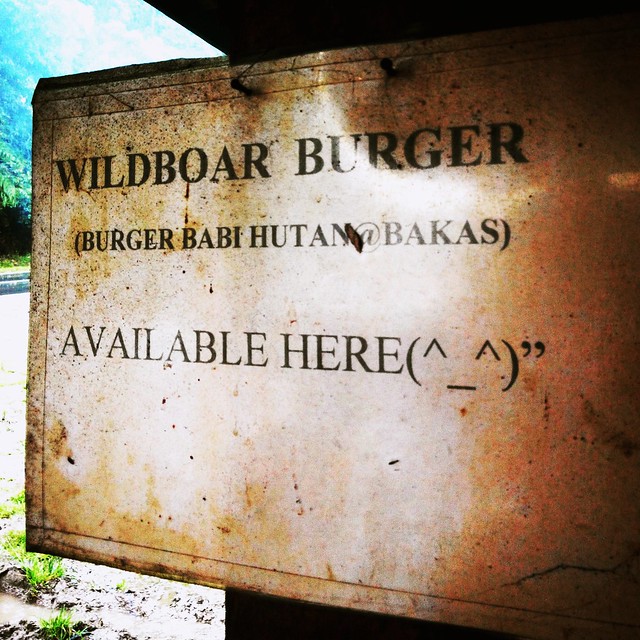 Wild boar burger.