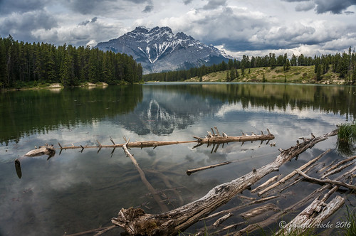 2014 alberta banff banffnationalpark canada canadianrockies cascademountain johnsonlake northamerica sonynex6 lake logs mountains reflection travel