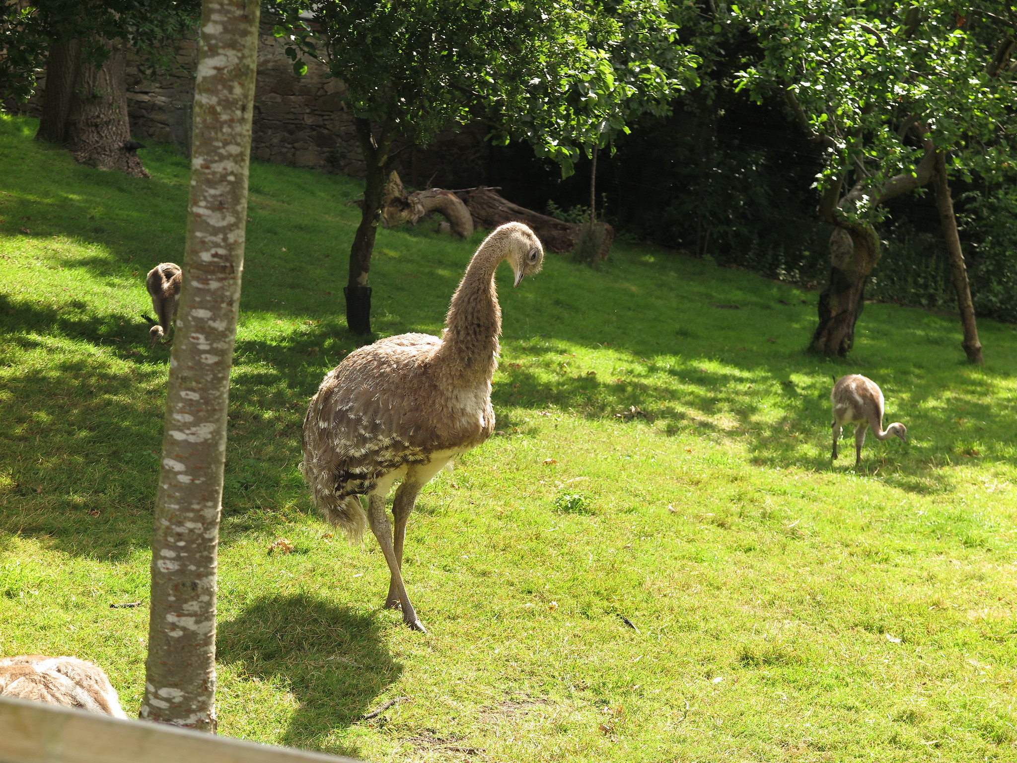 Zoo {Day 2} (Edinburgh)