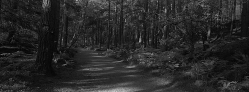 Scotland2015_09_19_Rothiemurchus | by trvontour