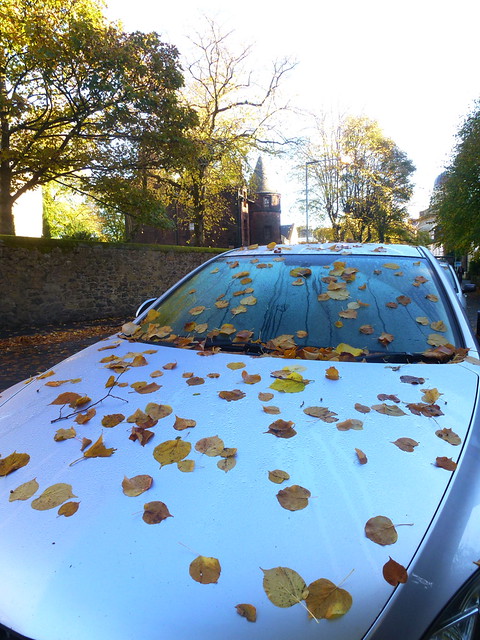 Oakshaw autumn colours (3)