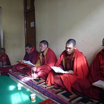 10 Ladakh nonnen
