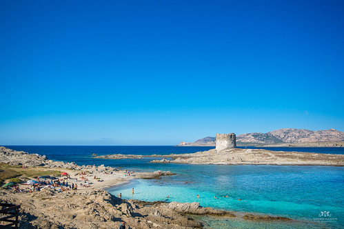 travel italy beach nature landscape sardinia bluesky nex stintino pelosa lapelosa travelsony northsardinia tommiehansen