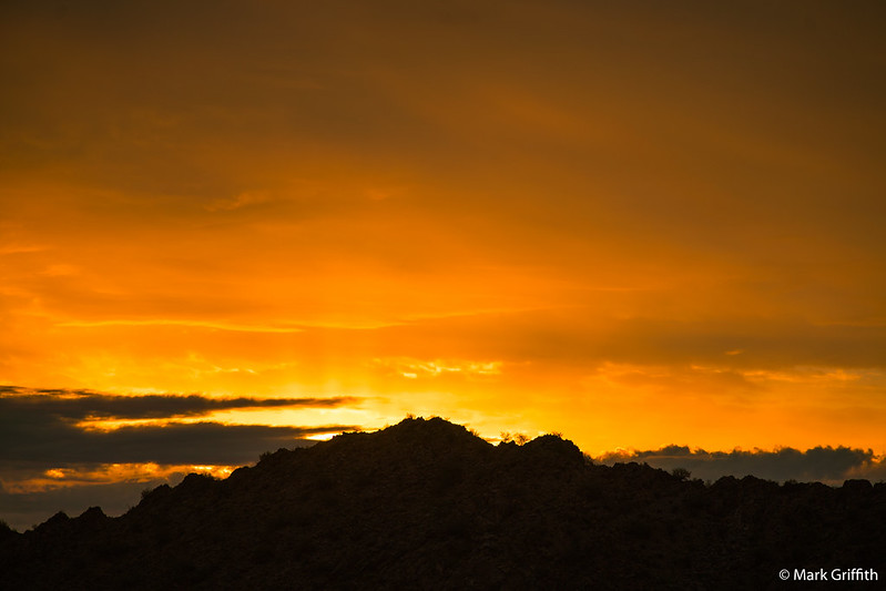 The Burgeoning Sun